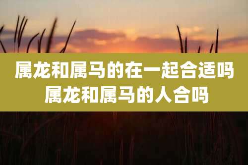 属龙和属马的在一起合适吗 属龙和属马的人合吗
