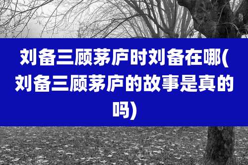 刘备三顾茅庐时刘备在哪(刘备三顾茅庐的故事是真的吗)