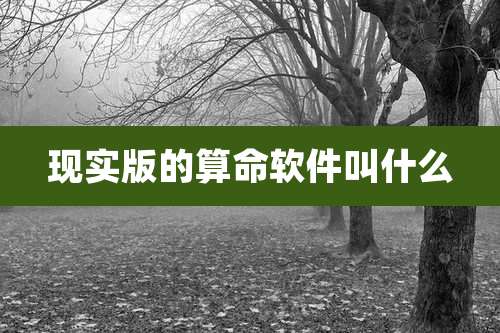 现实版的算命软件叫什么