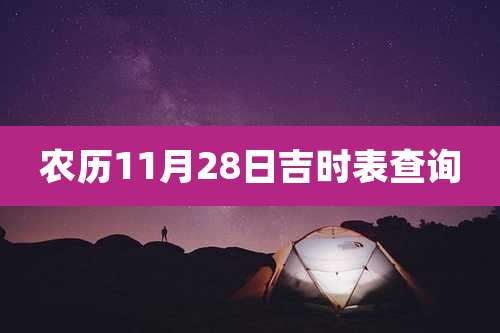 农历11月28日吉时表查询
