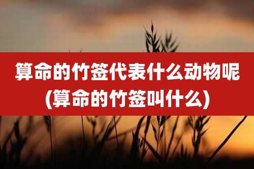 算命的竹签代表什么动物呢(算命的竹签叫什么)