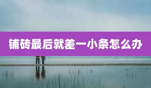 铺砖最后就差一小条怎么办