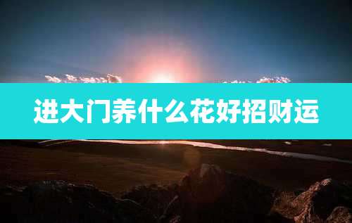 进大门养什么花好招财运