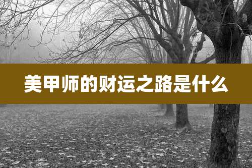 美甲师的财运之路是什么