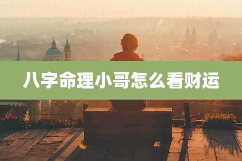 八字命理小哥怎么看财运