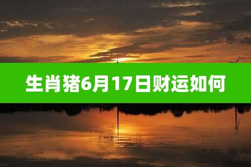 生肖猪6月17日财运如何