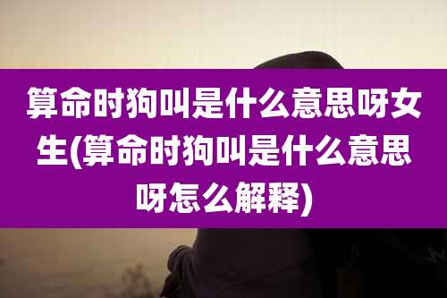 算命时狗叫是什么意思呀女生(算命时狗叫是什么意思呀怎么解释)