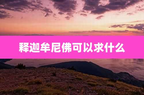 释迦牟尼佛可以求什么