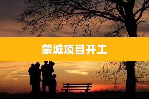 蒙城项目开工