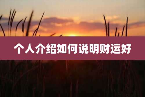 个人介绍如何说明财运好