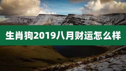 生肖狗2019八月财运怎么样