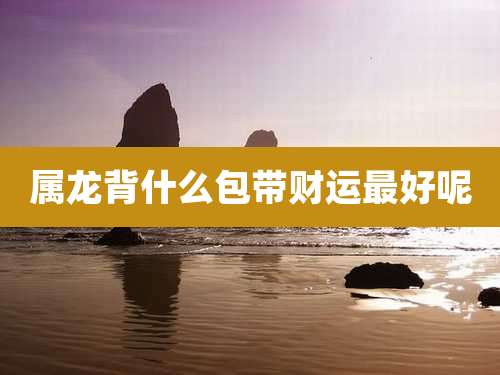 属龙背什么包带财运最好呢