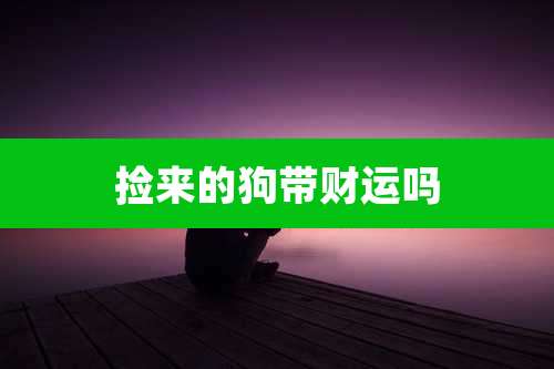 捡来的狗带财运吗