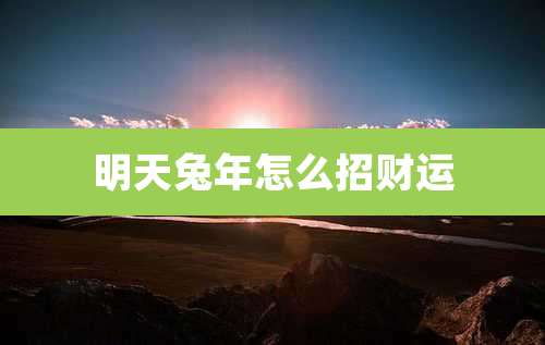 明天兔年怎么招财运