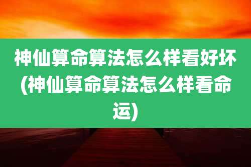 神仙算命算法怎么样看好坏(神仙算命算法怎么样看命运)