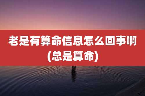 老是有算命信息怎么回事啊(总是算命)