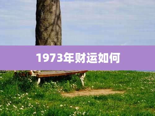 1973年财运如何