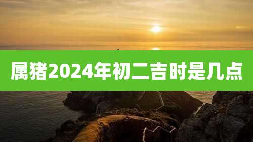 属猪2024年初二吉时是几点
