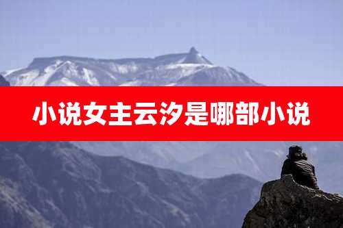 小说女主云汐是哪部小说