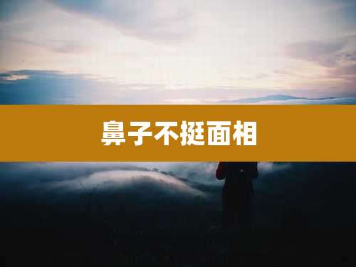 鼻子不挺面相