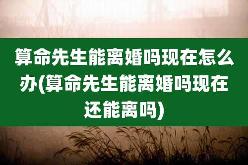 算命先生能离婚吗现在怎么办(算命先生能离婚吗现在还能离吗)
