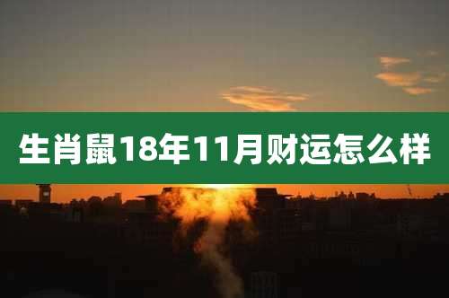 生肖鼠18年11月财运怎么样