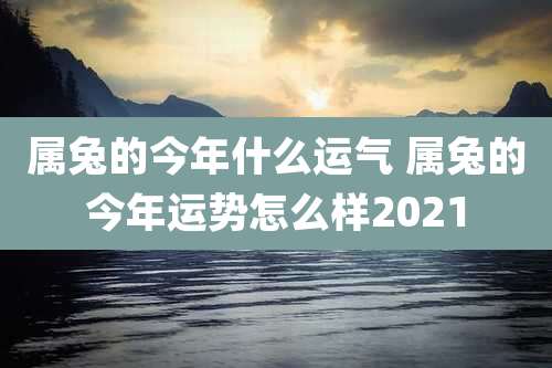 属兔的今年什么运气 属兔的今年运势怎么样2021