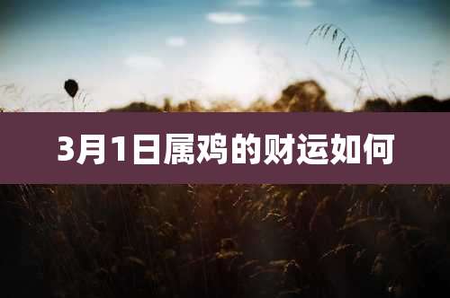 3月1日属鸡的财运如何