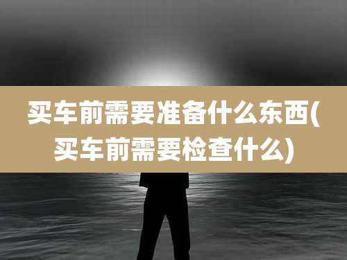 买车前需要准备什么东西(买车前需要检查什么)