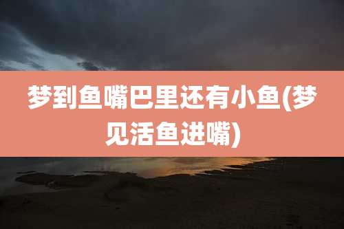 梦到鱼嘴巴里还有小鱼(梦见活鱼进嘴)