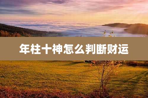 年柱十神怎么判断财运