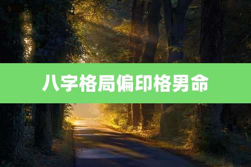 八字格局偏印格男命