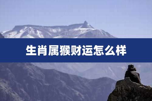 生肖属猴财运怎么样