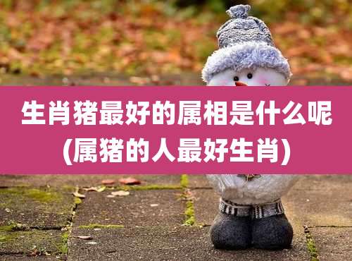 生肖猪最好的属相是什么呢(属猪的人最好生肖)