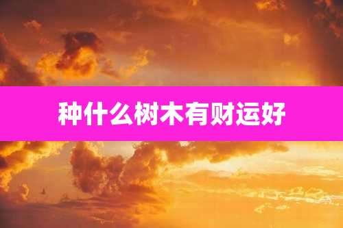 种什么树木有财运好