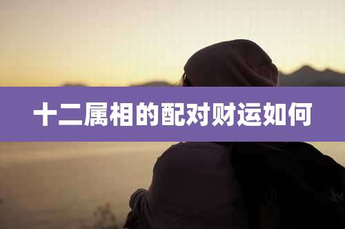 十二属相的配对财运如何