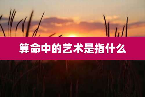 算命中的艺术是指什么