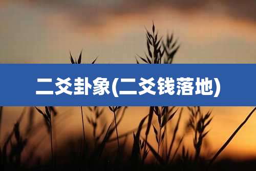 二爻卦象(二爻钱落地)