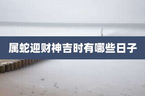 属蛇迎财神吉时有哪些日子