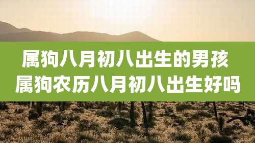 属狗八月初八出生的男孩 属狗农历八月初八出生好吗