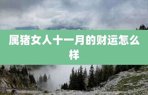 属猪女人十一月的财运怎么样