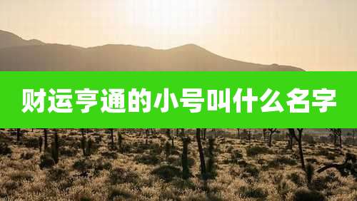 财运亨通的小号叫什么名字