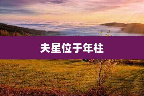 夫星位于年柱