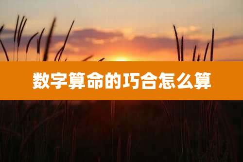 数字算命的巧合怎么算