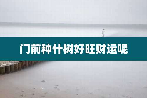 门前种什树好旺财运呢