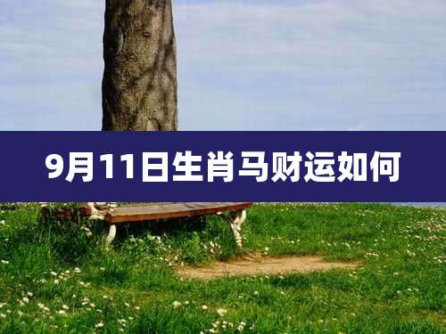 9月11日生肖马财运如何