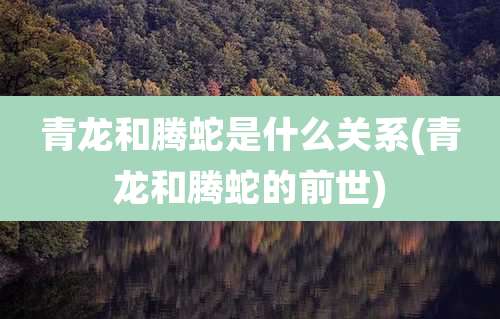 青龙和腾蛇是什么关系(青龙和腾蛇的前世)