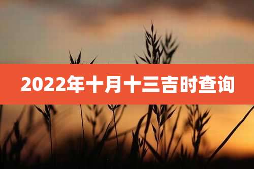 2022年十月十三吉时查询