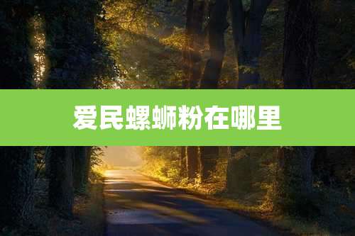 爱民螺蛳粉在哪里