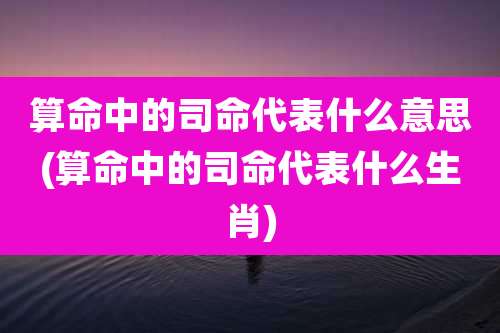 算命中的司命代表什么意思(算命中的司命代表什么生肖)